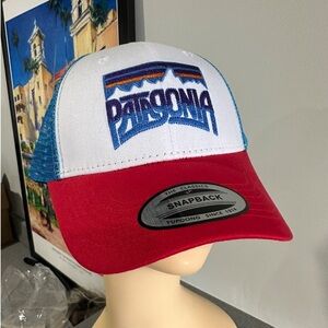 Patagonia hat baseball trucker hat new